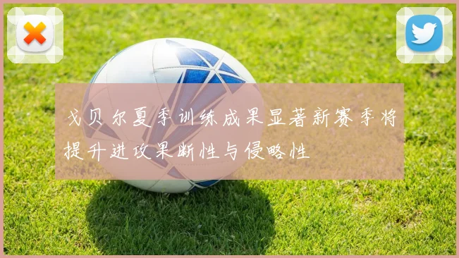 戈贝尔夏季训练成果显著新赛季将提升进攻果断性与侵略性